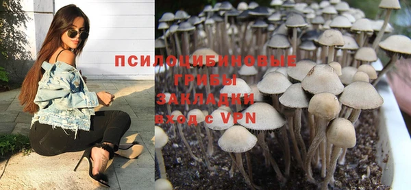 стафф Армянск