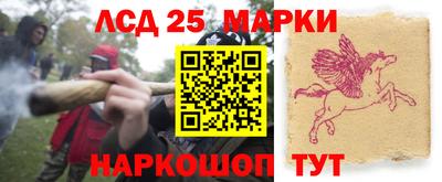 2c-b Шелехов