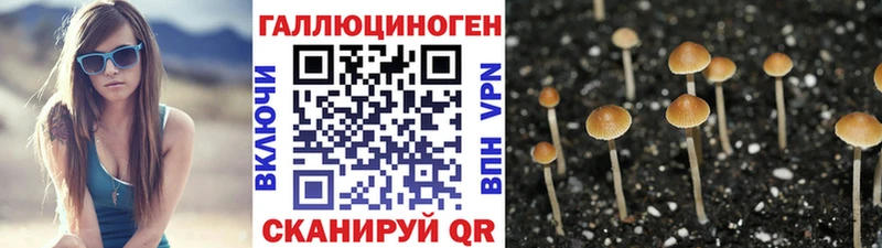 Псилоцибиновые грибы Cubensis  купить наркоту  Лобня 