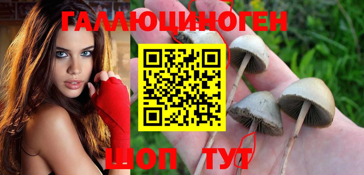 Псилоцибиновые грибы Psilocybe  цена   Лобня  Галлюциногенные грибы MAGIC MUSHROOMS  Вход с VPN 